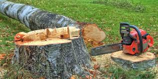 Best Tree Preservation Services  in Burnt Store Marina, FL