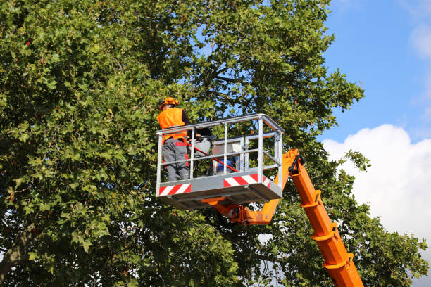 Best Tree Trimming and Pruning  in Burnt Store Marina, FL