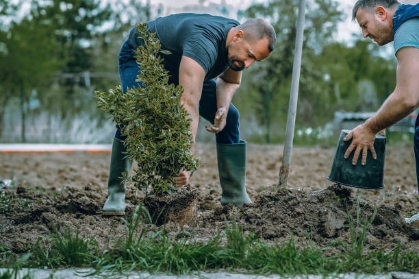  Burnt Store Marina, FL Tree Services Pros
