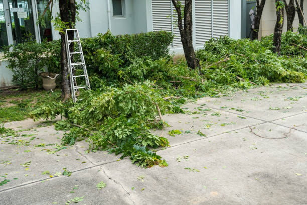 Best Fruit Tree Pruning  in Burnt Store Marina, FL