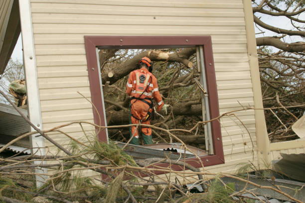 Best Tree Removal  in Burnt Store Marina, FL